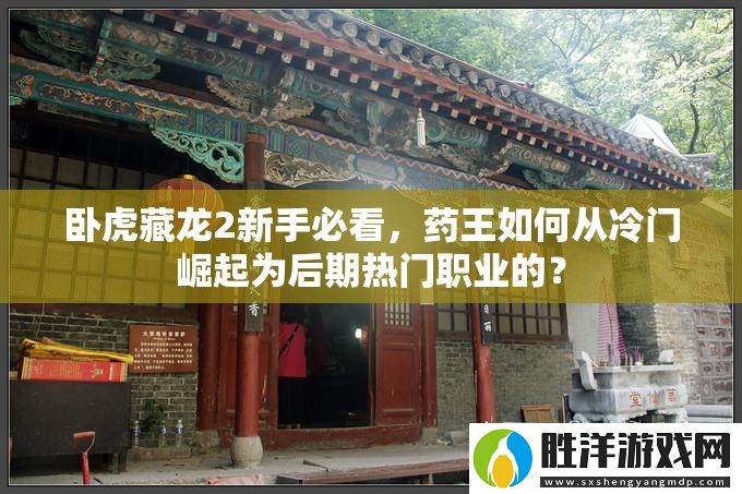 臥虎藏龍2新手必看-藥王如何從冷門崛起為后期熱門職業(yè)的