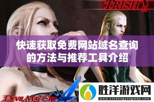 快速獲取免費網站域名查詢的方法與推薦工具介紹