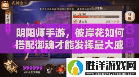 陰陽師手游-彼岸花如何搭配御魂才能發揮最大威力