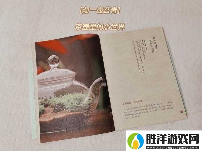 銹苔游戲英文名究竟為何-探索資源管理的獨特藝術！