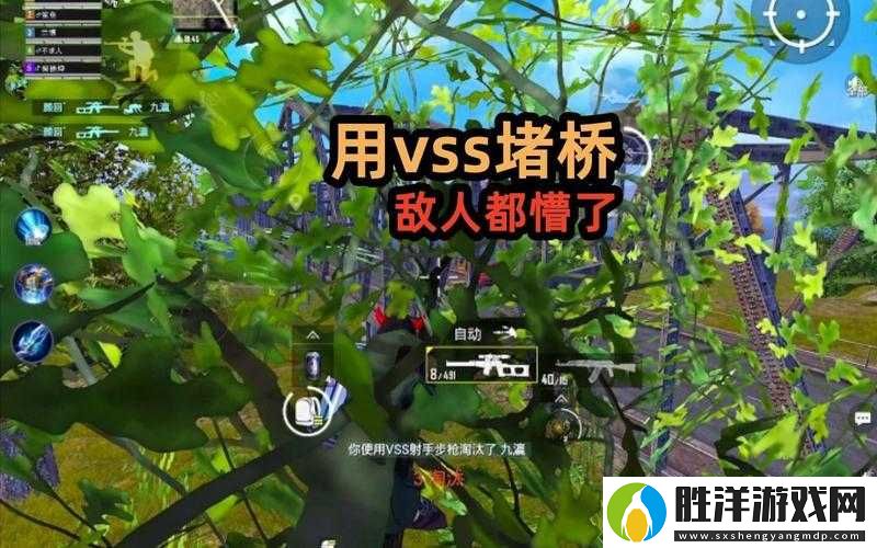 和平精英新手玩家如何有效堵橋-掌握這些技巧輕松制勝