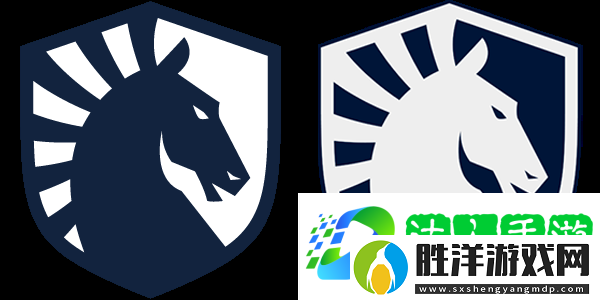 NertZ：目前世界上沒有一支隊伍能在Anubis上阻止我們