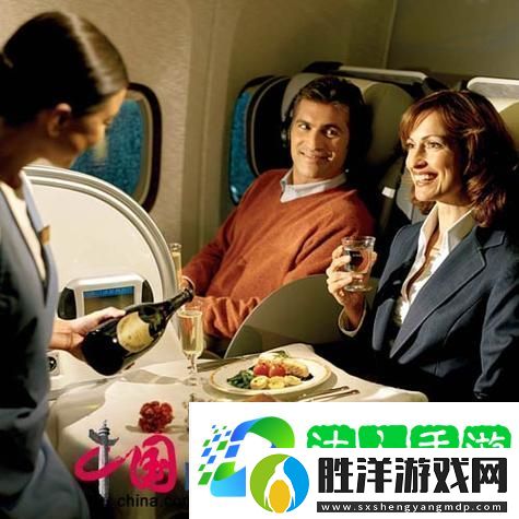 解析頭等艙客服的特殊待遇2中字中的獨特服務體驗