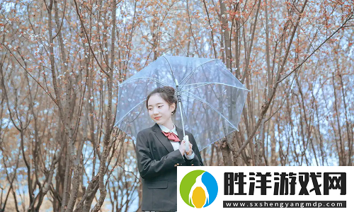 日本電影免費(fèi)觀看高清熊出沒資源推薦，高清動(dòng)畫輕松看!