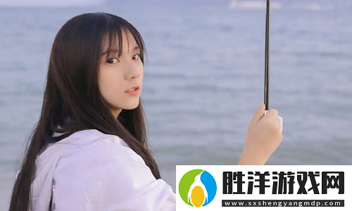 扌喿辶畐的資料網站全解析，海量資源一網打盡！