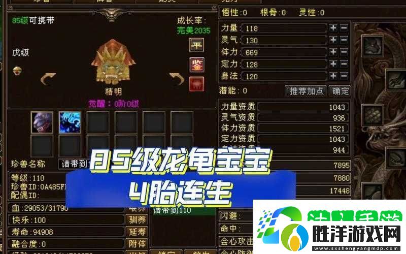 天龍八部手游中-烏龜寶寶真那么強(qiáng)