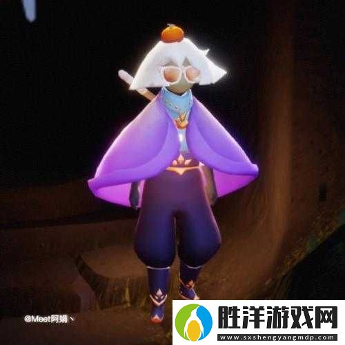 光遇紫色絨毛斗篷復(fù)刻攻略：5步教你輕松獲取稀有裝扮