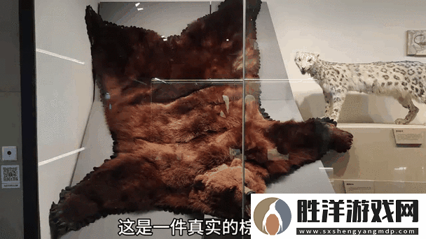 冰原守衛者中的熊皮究竟有何妙用?高效獲取熊皮的三大方法你掌握了嗎?