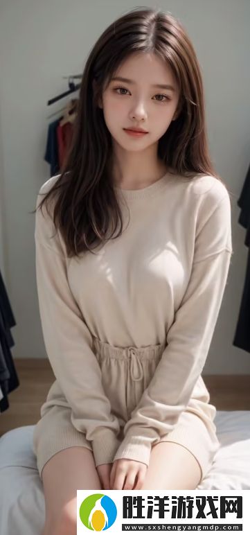 法國版滅火寶貝中文翻譯：如何克服文化差異和語言挑戰(zhàn)