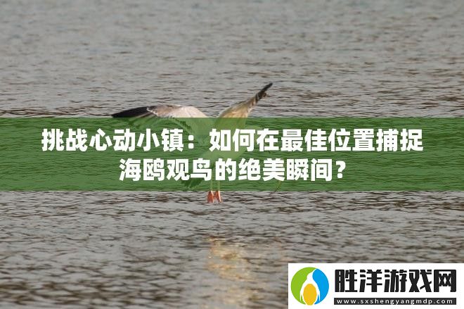 挑戰心動小鎮：如何在最佳位置捕捉海鷗觀鳥的絕美瞬間