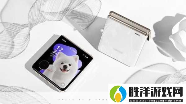 榮耀MagicVFlip電量疾速回血手游暢玩無憂