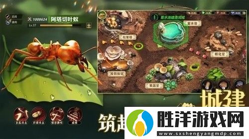 小小蟻國禮包碼在哪里領取2023還能用的