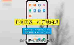 抖音閃退原因是什么-如何解決抖音APP閃退問題