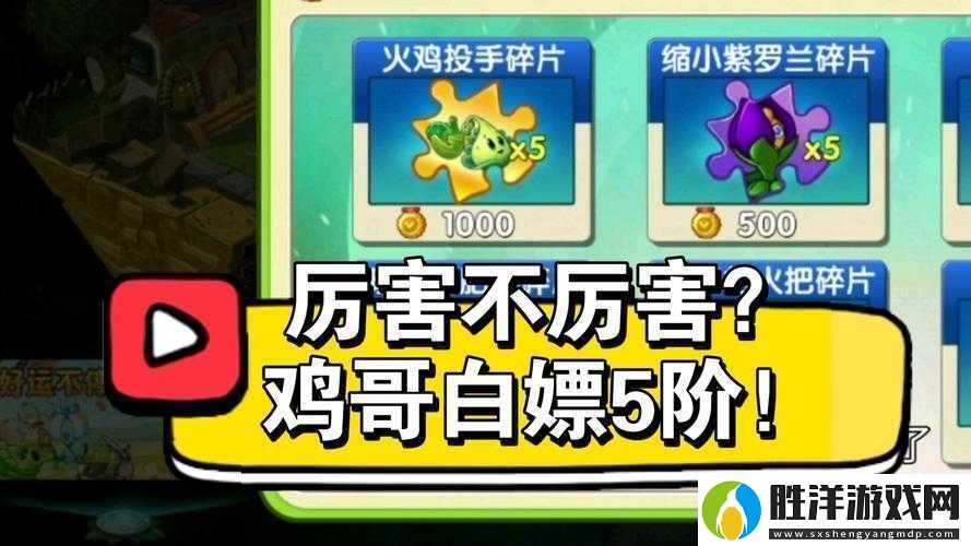 雞了個雞怎么玩爆火小游戲入口+隱藏玩法大公開！手慢無！