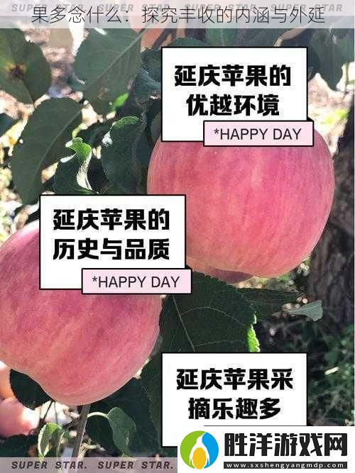 果多念什么：探究豐收的內涵與外延