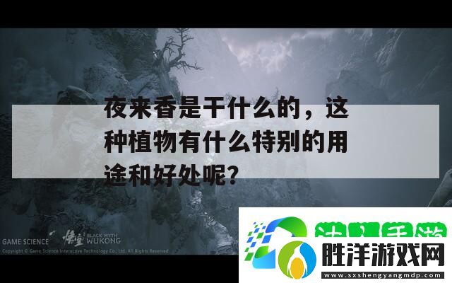 夜來香是干什么的-這種植物有什么特別的用途和好處呢-最新資訊