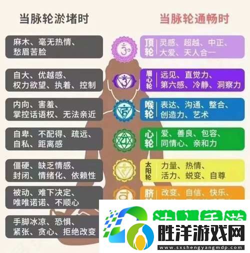 探討“8人輪換和9人輪換哪個舒服”的真實體驗骨川資訊