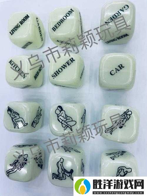 透視Y道具究竟有何神奇之處全面解析Y的多樣作用與功效