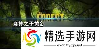 森林之子黃金甲的效果是什么