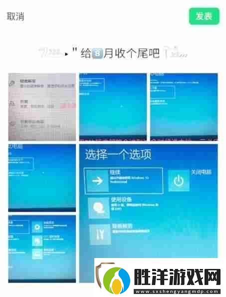 Windows11終端去哪了怎么找回不見了