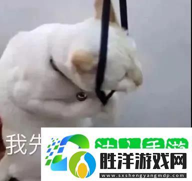 我先去下個世界了表情包-我先去下個世界了圖片