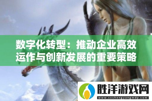 數(shù)字化轉(zhuǎn)型：推動企業(yè)高效運(yùn)作與創(chuàng)新發(fā)展的重要策略解析