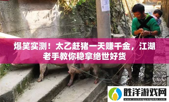 爆笑實測！太乙趕豬一天賺千金-江湖老手教你穩拿絕世好貨