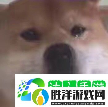 早安打工人表情包-微信早安打工人表情包高清圖分享