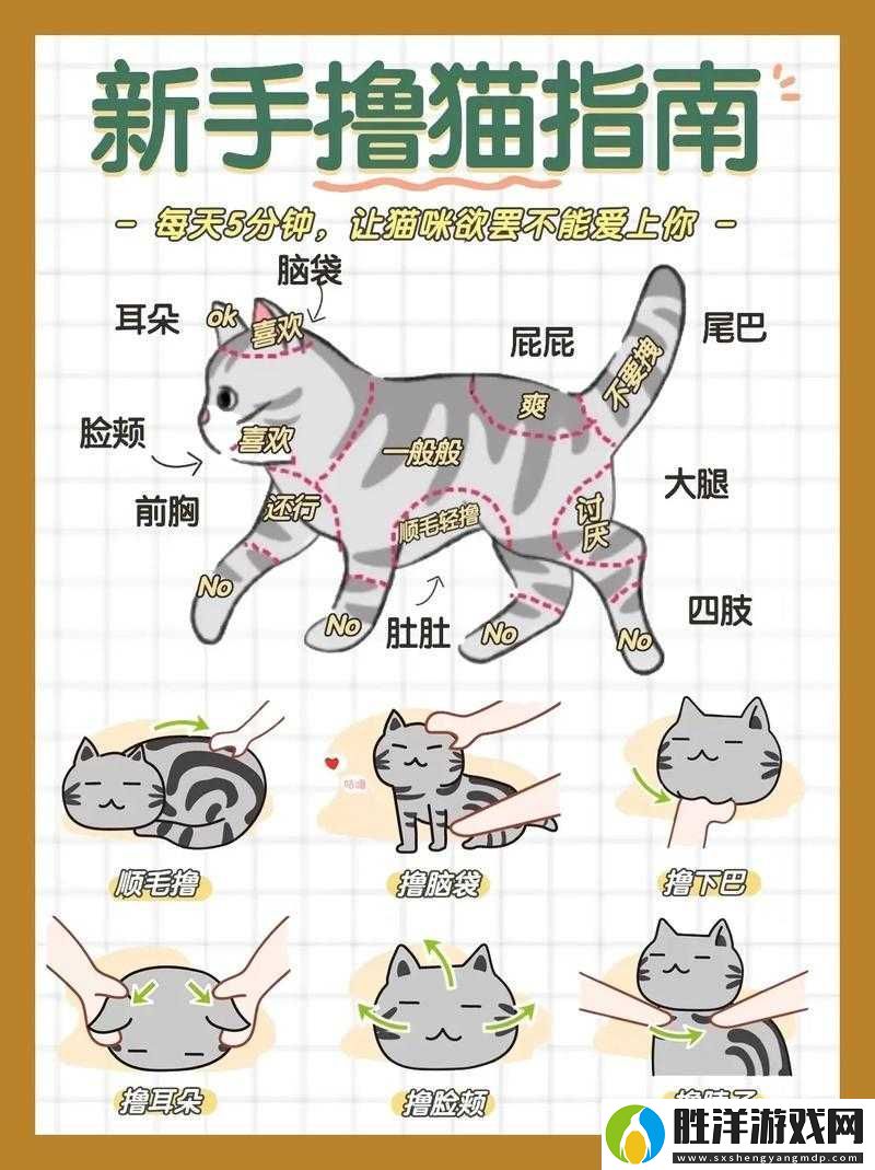 超治愈！萌宅物語摸貓攻略｜5步解鎖完美擼貓順序必看