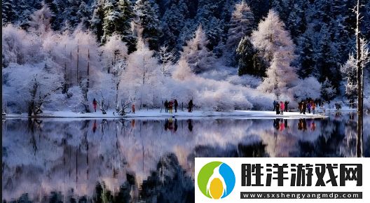 如何順利安裝伊人APP直播-完整安裝流程解析：解決常見安裝問題及登錄技巧