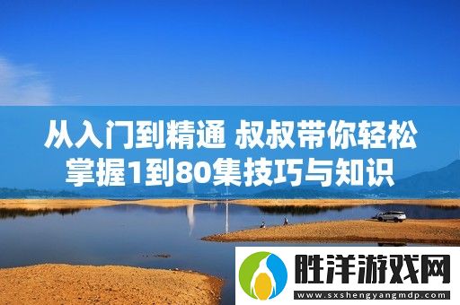 從入門到精通-叔叔帶你輕松掌握1到80集技巧與知識