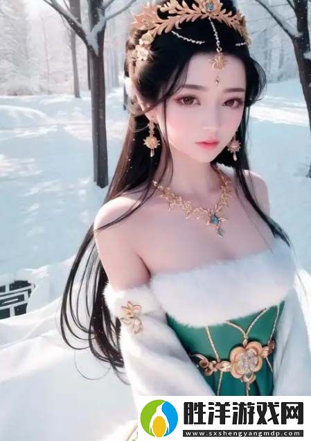 如何選擇合適的歐美VPS提升Windows系統性能