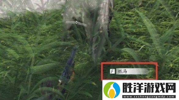 燕云十六聲馬怎么抓燕云十六聲抓馬技巧