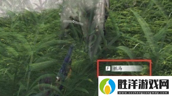 燕云十六聲馬怎么抓燕云十六聲抓馬技巧