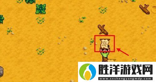星露谷物語放大鏡怎么用