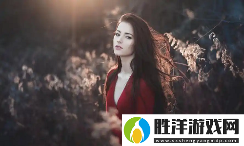 日本mv與歐美m(xù)v的區(qū)別：從視覺風格到文化背景，差異巨大，超有趣！