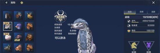 妄想山海新手寵物選擇