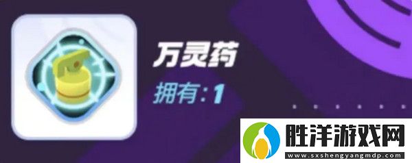 寶可夢大集結對戰(zhàn)道具有哪些