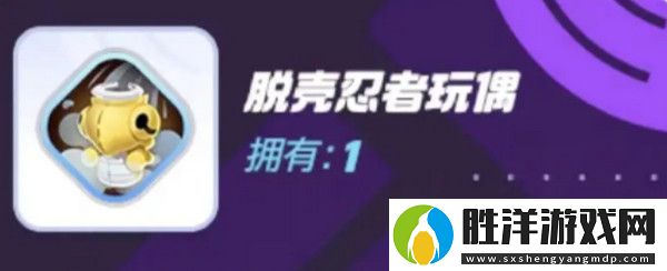 寶可夢大集結對戰(zhàn)道具有哪些