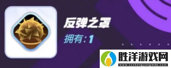 寶可夢大集結對戰(zhàn)道具有哪些