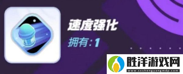 寶可夢大集結對戰(zhàn)道具有哪些