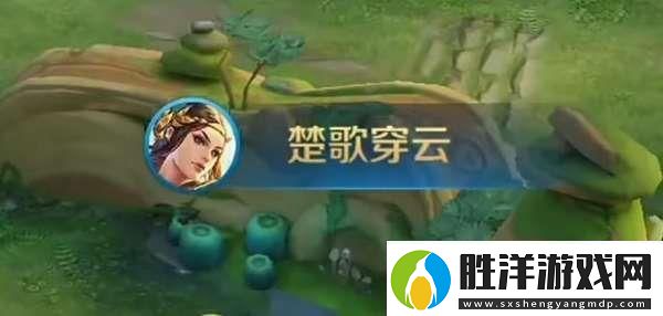 王者最稀有的六個播報