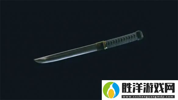 星空近戰武器推薦