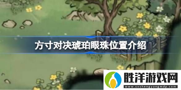 方寸對決琥珀眼珠位置介紹-方寸對決琥珀眼珠位置在哪