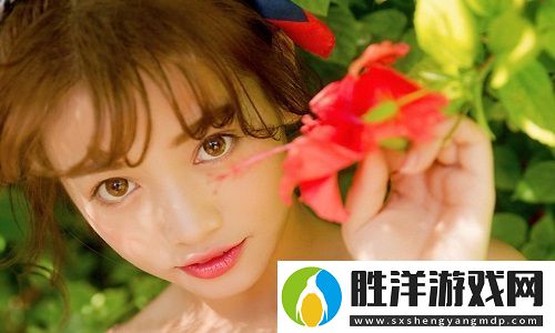 日產歐產美韓系區別高清版