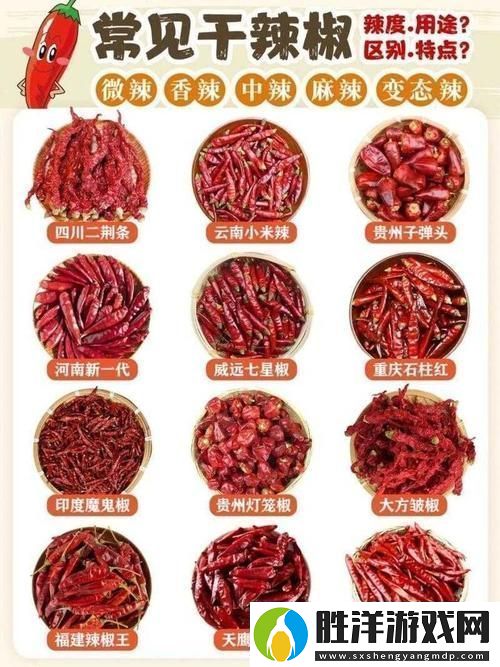 成品大香伊煮和小辣椒在哪些方面：探討風味與用途的差異