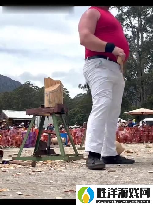 砍樹大賽即將開啟預約砍樹第一名暢享休閑時光！